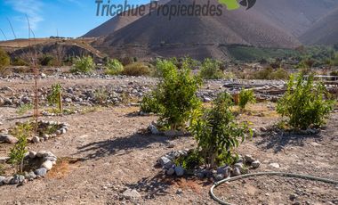 Venta de parcela con cabaña, orilla de rio, electricidad, a 10 minutos de Vicuña. $87 millones