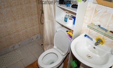 Venta de parcela con cabaña, orilla de rio, electricidad, a 10 minutos de Vicuña. $87 millones