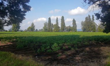 VENTA DE LOTE EN TENJO USO VIVIENDA CAMPESTRE