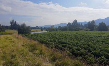 VENTA DE LOTE EN TENJO USO VIVIENDA CAMPESTRE