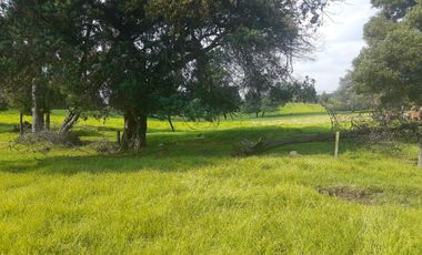 VENTA DE LOTE EN TENJO USO VIVIENDA CAMPESTRE