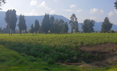 VENTA DE LOTE EN TENJO USO VIVIENDA CAMPESTRE