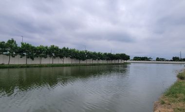 En venta Terreno al lago en Aires del Batán Samborondón | $630/m² Oportunidad