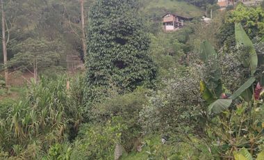 VENTA DE CASA FINCA LA TABLAZA, LA ESTRELLA