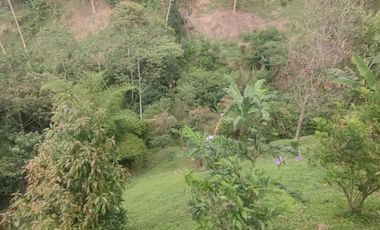 VENTA DE CASA FINCA LA TABLAZA, LA ESTRELLA