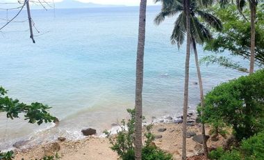 WATERFRONT VACANT LAND FOR SALE MABINI BATANGAS