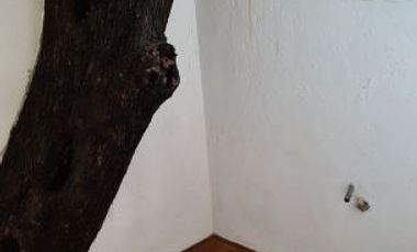 3 LOCALES NUEVOS PROPIOS PARA OFICINAS EN RENTA, AGUA AZUL, PUEBLA $9,000.00 y $25,000.00