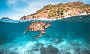 Resorts, Hotels, Development Land for Sale