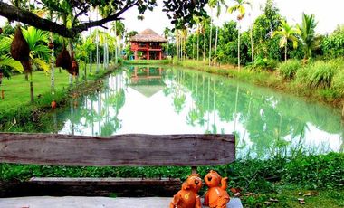 ขายด่วน!! บ้านพักตากอากาศ ท่ามกลางธรรมชาติ สามารถต่อยอดทำที่พัก รีสอร์ท หรือกิจการแหล่งท่องเที่ยวได้ ที่ดินพัฒนาแล้ว มีป้ายบอกทาง ระบบไฟฟ้า ประปา อินเ