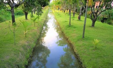 ขายด่วน!! บ้านพักตากอากาศ ท่ามกลางธรรมชาติ สามารถต่อยอดทำที่พัก รีสอร์ท หรือกิจการแหล่งท่องเที่ยวได้ ที่ดินพัฒนาแล้ว มีป้ายบอกทาง ระบบไฟฟ้า ประปา อินเ