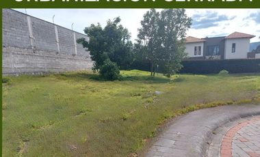 Terreno en venta en urbanización sector Ruta Viva Tumbaco Ecuador
