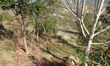 SE VENDE PARCELA CON 2 CASAS HERMOSA VISTA