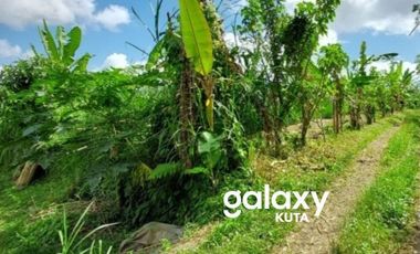 DIJUAL TANAH DESA BELOK SIDAN PETANG BADUNG, BALI