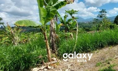 DIJUAL TANAH DESA BELOK SIDAN PETANG BADUNG, BALI