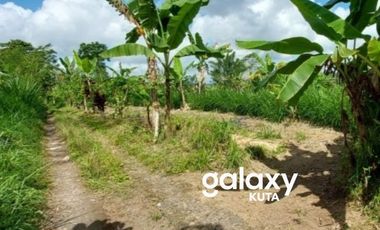 DIJUAL TANAH DESA BELOK SIDAN PETANG BADUNG, BALI