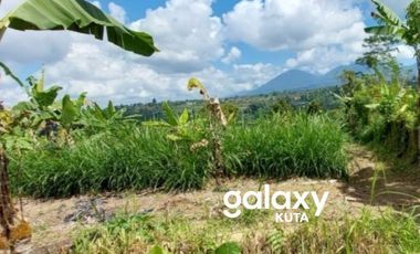 DIJUAL TANAH DESA BELOK SIDAN PETANG BADUNG, BALI