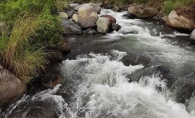 Complejo Turístico Balneario en Venta en Los Ríos Sector Montalvo