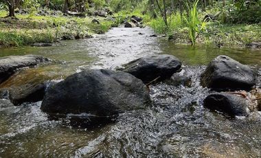 Complejo Turístico Balneario en Venta en Los Ríos Sector Montalvo