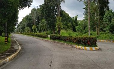 ATTN: DEVELOPERS-RESIDENTIAL LOTS IN FIRST CLASS SUBDIVISION LOCATED IN BACOLOD CITY FOR SALE