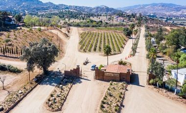 VENDO terreno en rancho Tecate