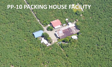 For Sale 258 Hectares Banana Plantation and Quarry Area with Other Facilities in Mabuhay, Davao del Norte