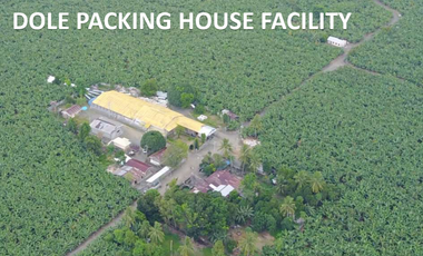 For Sale 258 Hectares Banana Plantation and Quarry Area with Other Facilities in Mabuhay, Davao del Norte