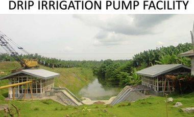 For Sale 258 Hectares Banana Plantation and Quarry Area with Other Facilities in Mabuhay, Davao del Norte