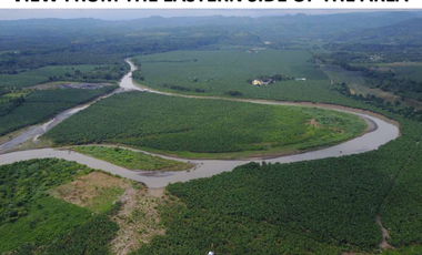 For Sale 258 Hectares Banana Plantation and Quarry Area with Other Facilities in Mabuhay, Davao del Norte
