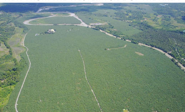 For Sale 258 Hectares Banana Plantation and Quarry Area with Other Facilities in Mabuhay, Davao del Norte