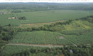 For Sale 258 Hectares Banana Plantation and Quarry Area with Other Facilities in Mabuhay, Davao del Norte