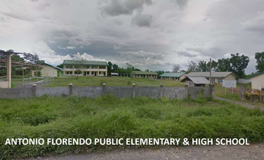 For Sale 258 Hectares Banana Plantation and Quarry Area with Other Facilities in Mabuhay, Davao del Norte