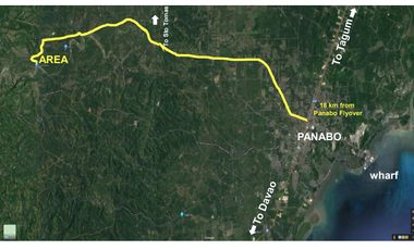 For Sale 258 Hectares Banana Plantation and Quarry Area with Other Facilities in Mabuhay, Davao del Norte