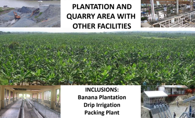 For Sale 258 Hectares Banana Plantation and Quarry Area with Other Facilities in Mabuhay, Davao del Norte