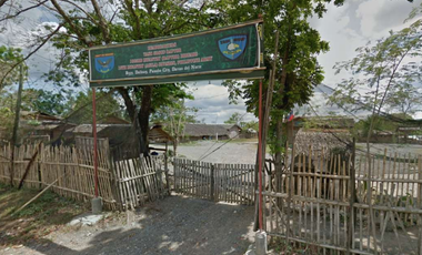 For Sale 258 Hectares Banana Plantation and Quarry Area with Other Facilities in Mabuhay, Davao del Norte