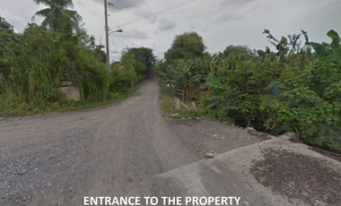For Sale 258 Hectares Banana Plantation and Quarry Area with Other Facilities in Mabuhay, Davao del Norte