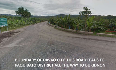 For Sale 258 Hectares Banana Plantation and Quarry Area with Other Facilities in Mabuhay, Davao del Norte