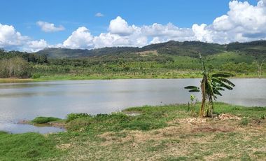 Tranquilidad y naturaleza te esperan en estos lotes de 1000 m². A solo 20 minutos de Tarapoto. Ver video!! 🎬