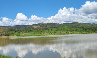 Tranquilidad y naturaleza te esperan en estos lotes de 1000 m². A solo 20 minutos de Tarapoto. Ver video!! 🎬
