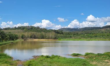 Tranquilidad y naturaleza te esperan en estos lotes de 1000 m². A solo 20 minutos de Tarapoto. Ver video!! 🎬
