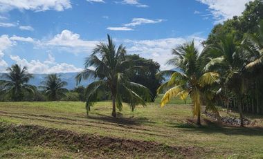 Tranquilidad y naturaleza te esperan en estos lotes de 1000 m². A solo 20 minutos de Tarapoto. Ver video!! 🎬