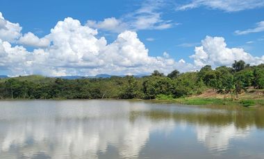 Tranquilidad y naturaleza te esperan en estos lotes de 1000 m². A solo 20 minutos de Tarapoto. Ver video!! 🎬