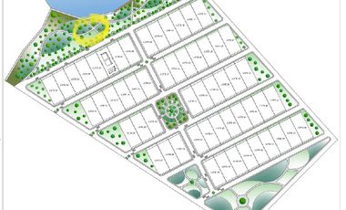 Tranquilidad y naturaleza te esperan en estos lotes de 1000 m². A solo 20 minutos de Tarapoto. Ver video!! 🎬