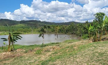 Tranquilidad y naturaleza te esperan en estos lotes de 1000 m². A solo 20 minutos de Tarapoto. Ver video!! 🎬