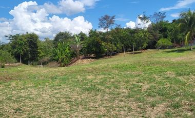 Tranquilidad y naturaleza te esperan en estos lotes de 1000 m². A solo 20 minutos de Tarapoto. Ver video!! 🎬