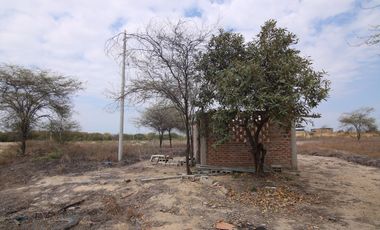 VENTA DE DOS TERRENO – CARRETERA  PIURA -SULLANA - PIURA.