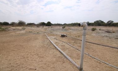 VENTA DE DOS TERRENO – CARRETERA  PIURA -SULLANA - PIURA.