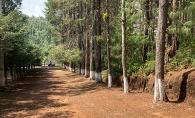 TERRENO EN VENTA HIDALGO ESTADO DE MÉXICO