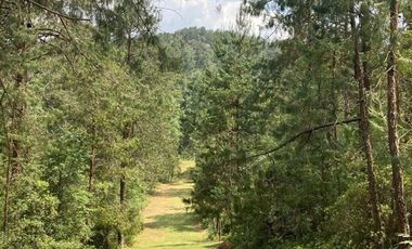 TERRENO EN VENTA HIDALGO ESTADO DE MÉXICO