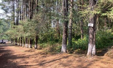 TERRENO EN VENTA HIDALGO ESTADO DE MÉXICO