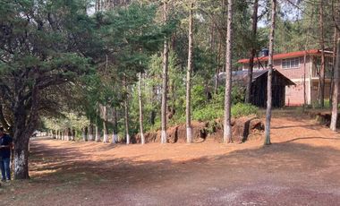 TERRENO EN VENTA HIDALGO ESTADO DE MÉXICO